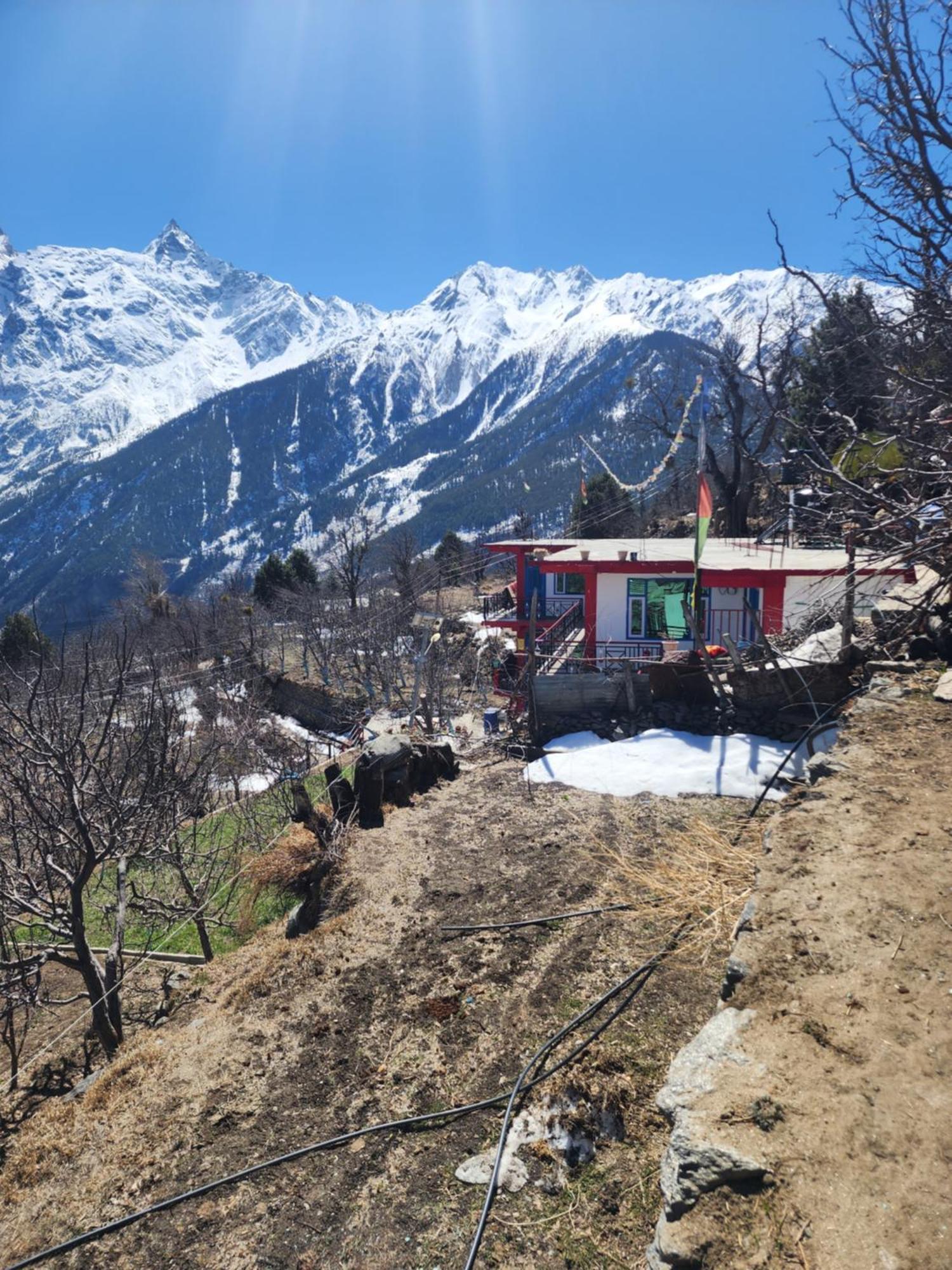Safarnama Retreat Homestay - All Rooms With Mountain View Kalpa Luaran gambar